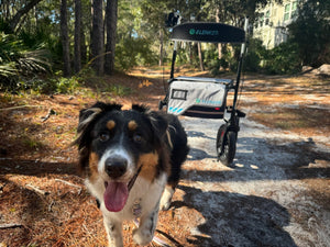 Top 10 Rollator Walker Brands in the USA