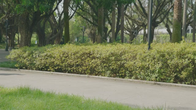 KLD-9212 All Terrain Dual-Brake Rollator Walker 12